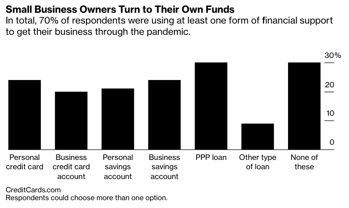 Visualization for Survey of How Small Businesses Are Supporting Their Operations During the Pandemic